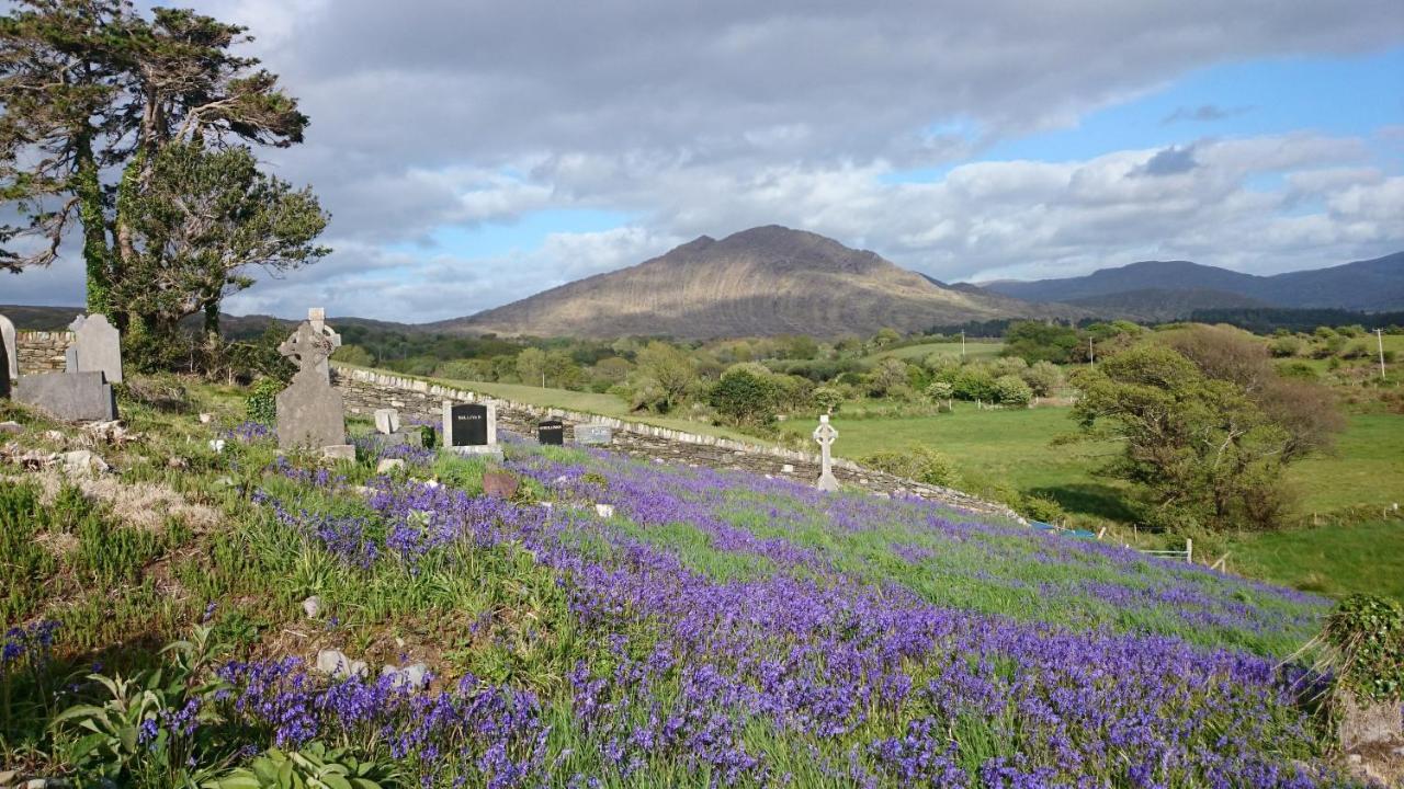 Kenmare Eco Lodge Dış mekan fotoğraf