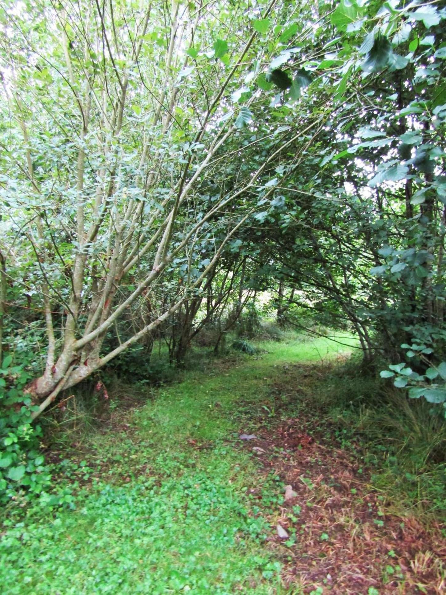 Kenmare Eco Lodge Dış mekan fotoğraf