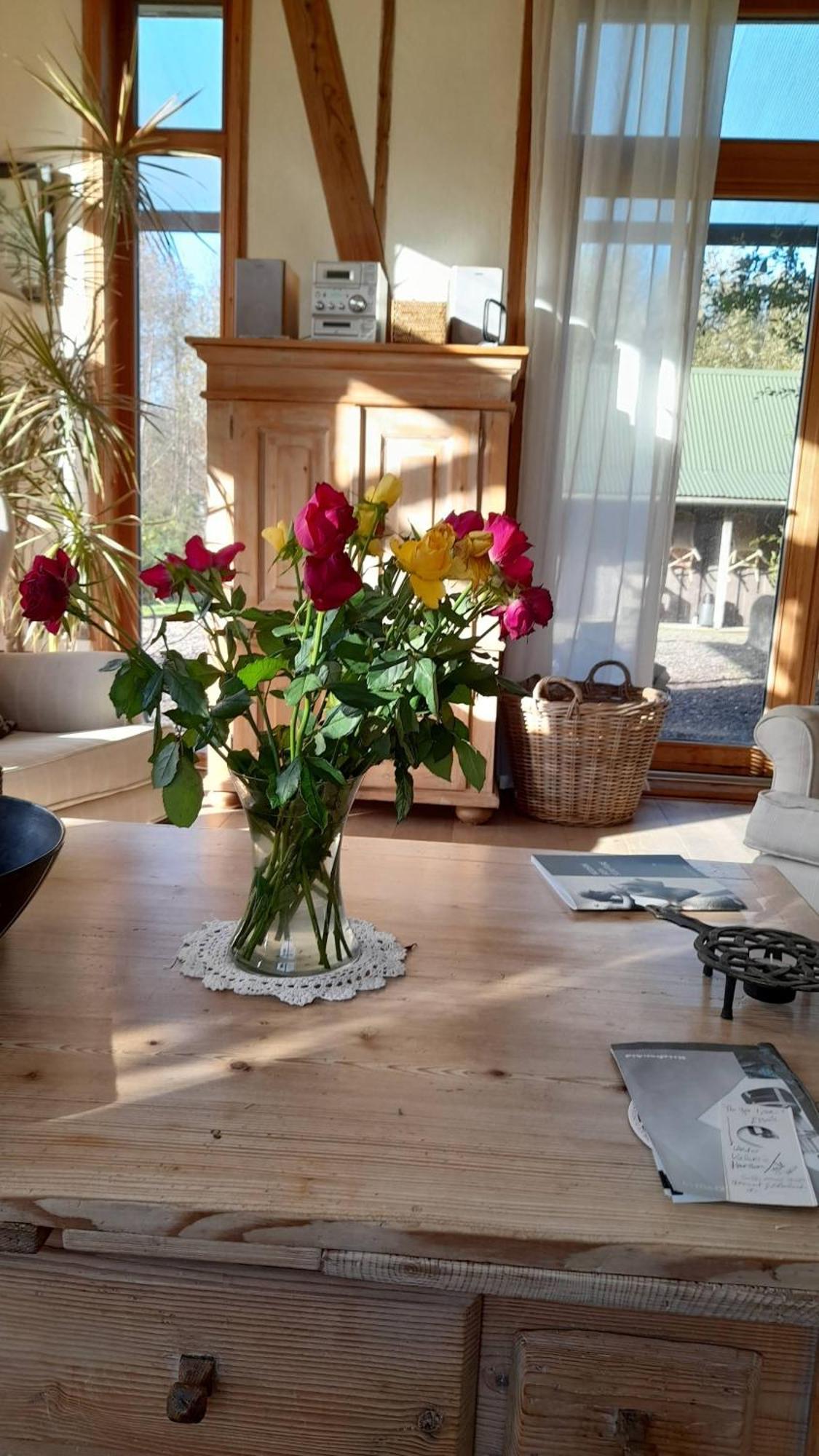 Kenmare Eco Lodge Dış mekan fotoğraf