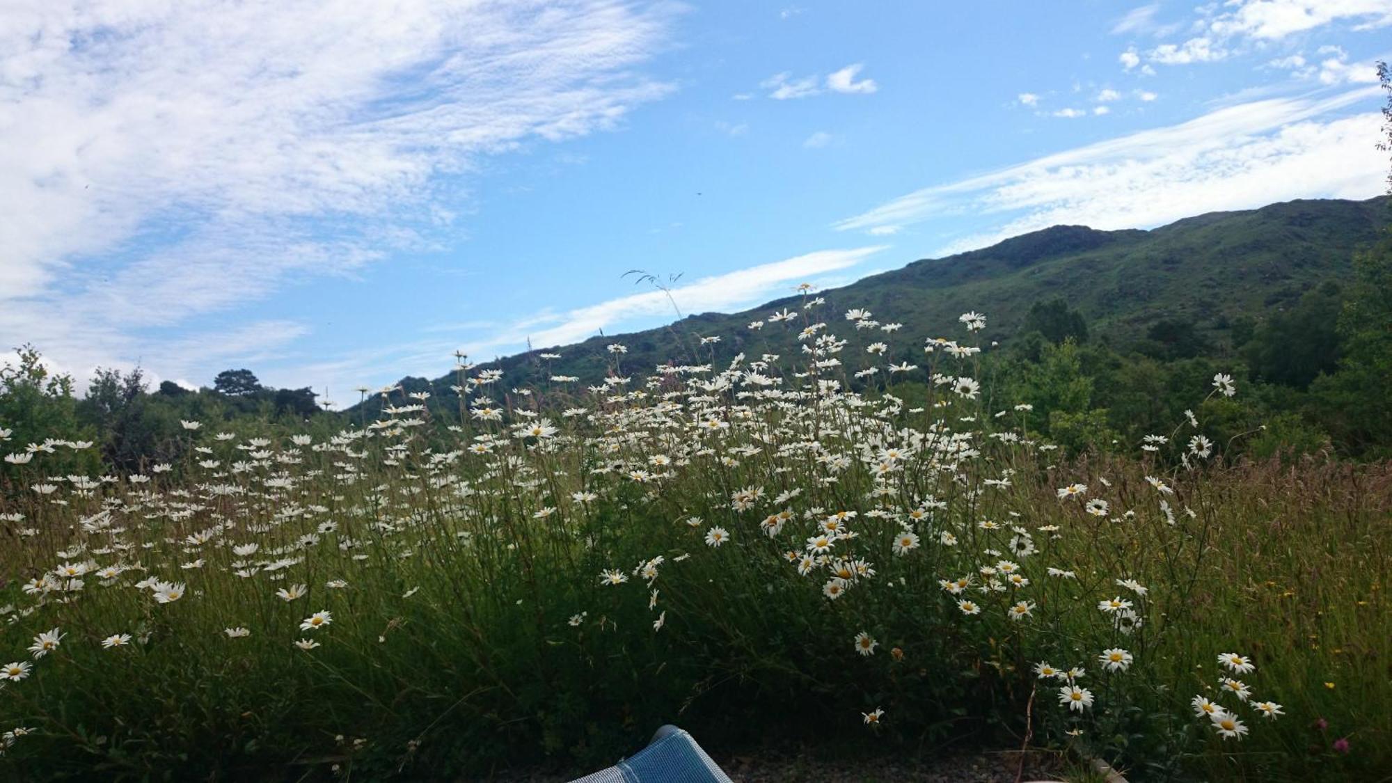 Kenmare Eco Lodge Dış mekan fotoğraf