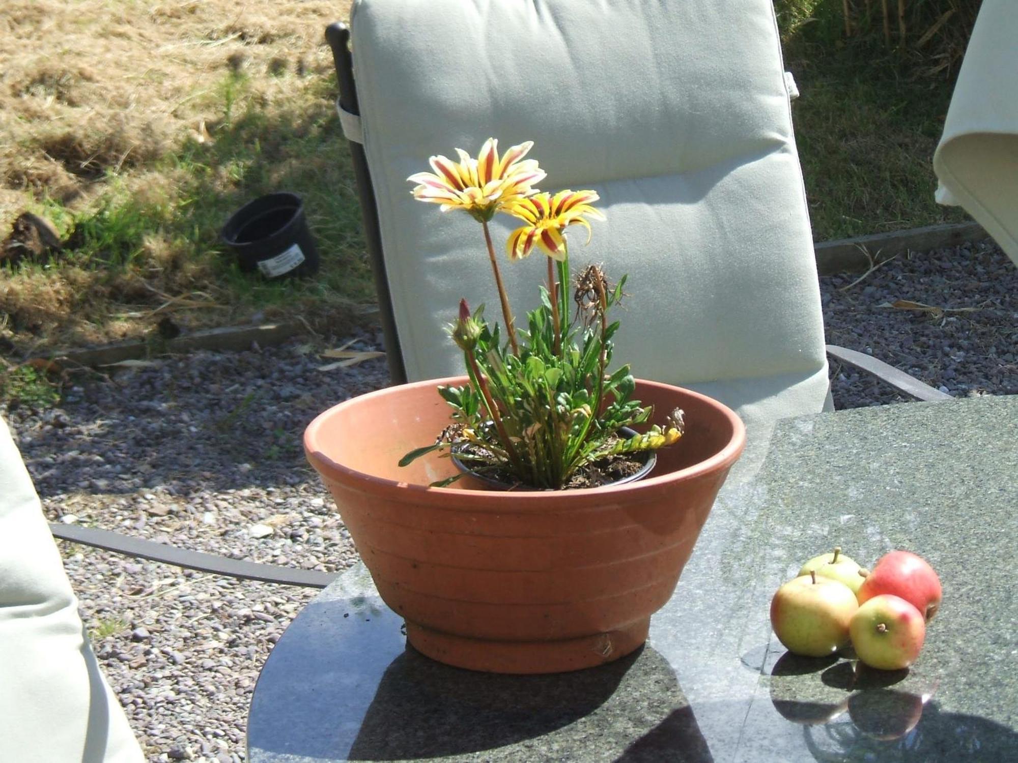 Kenmare Eco Lodge Dış mekan fotoğraf