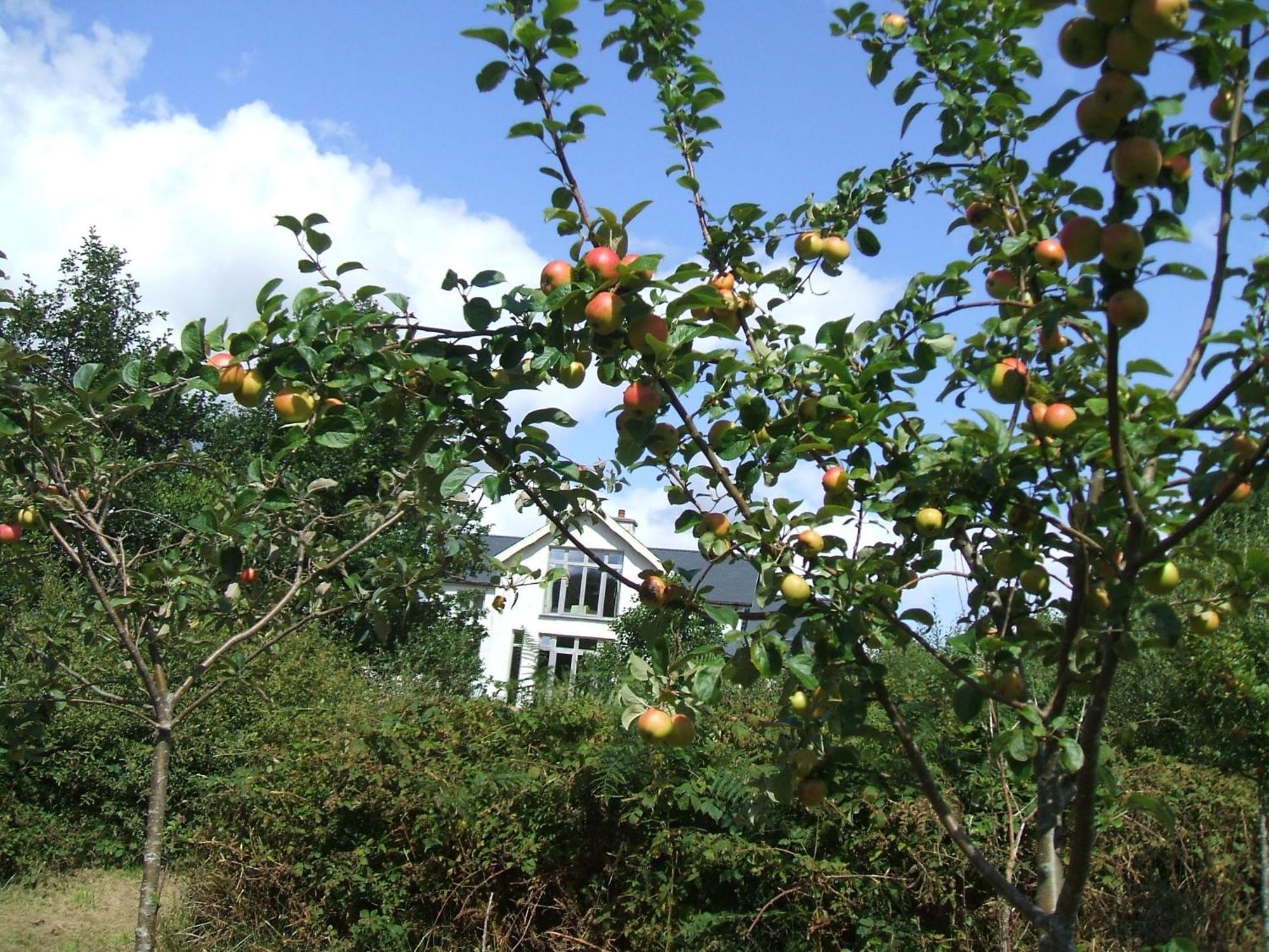 Kenmare Eco Lodge Dış mekan fotoğraf