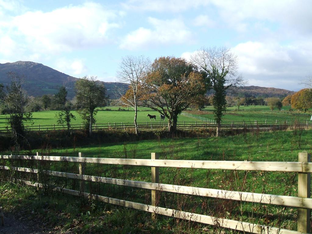 Kenmare Eco Lodge Dış mekan fotoğraf